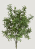Fake Boxwood Plant