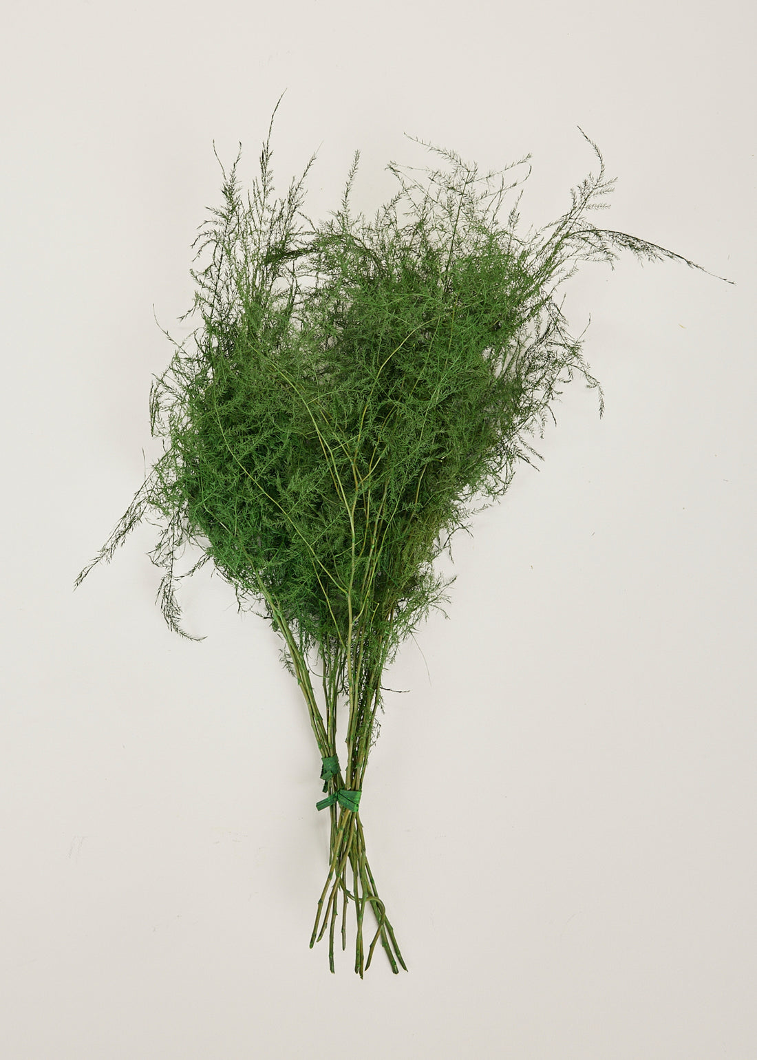 Dried Grasses and  Fern Bundle