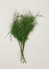 Dried Grasses and  Fern Bundle