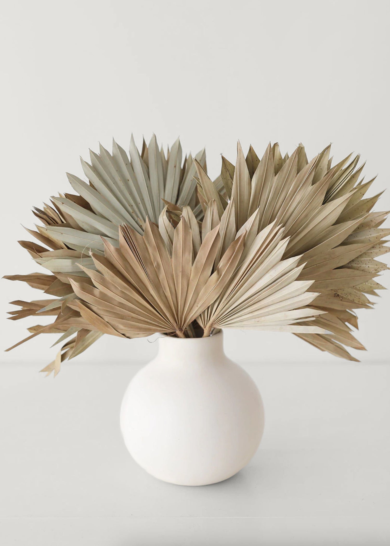 Natural Tan Sun Palms in White Ceramic Vase