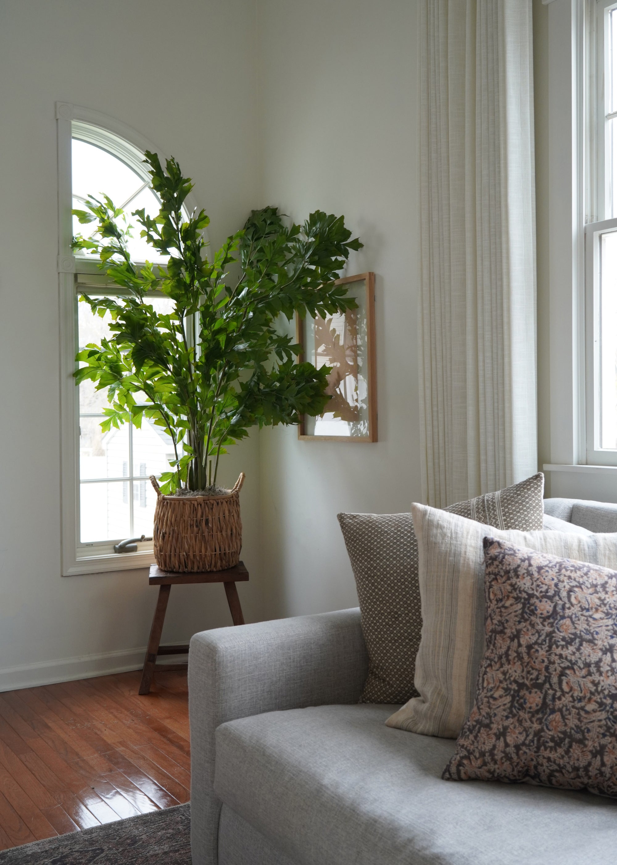 Artificial Potted Fishtail Palm Tree Plant - 63&quot; Tall x 43&quot;