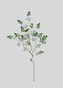 Spring Blossom Branch