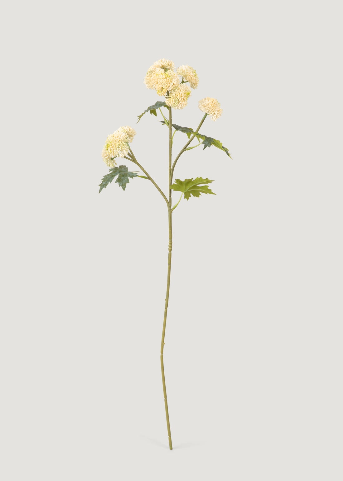 Natural Touch Cream Sedum Branch