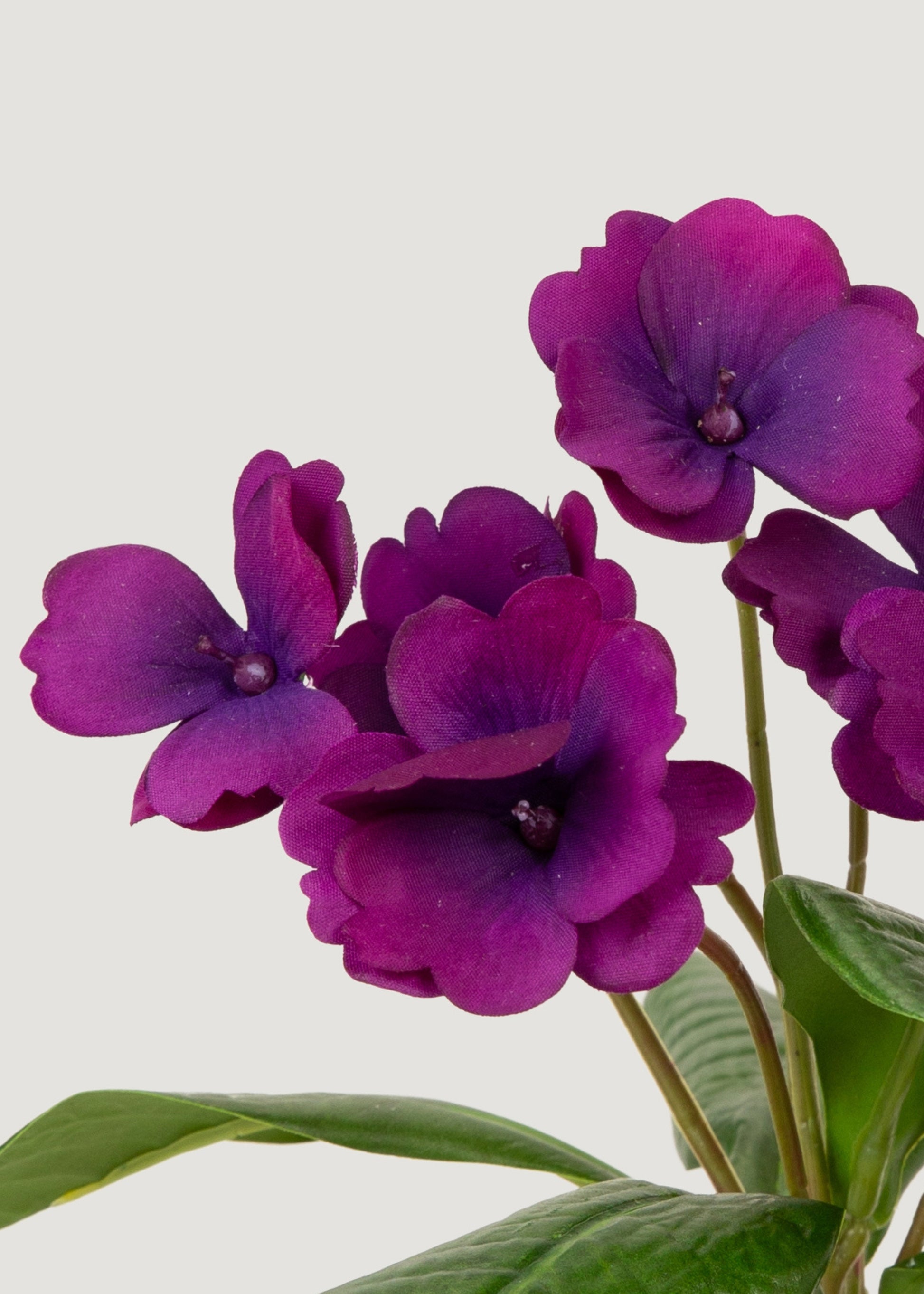 Faux African Violets