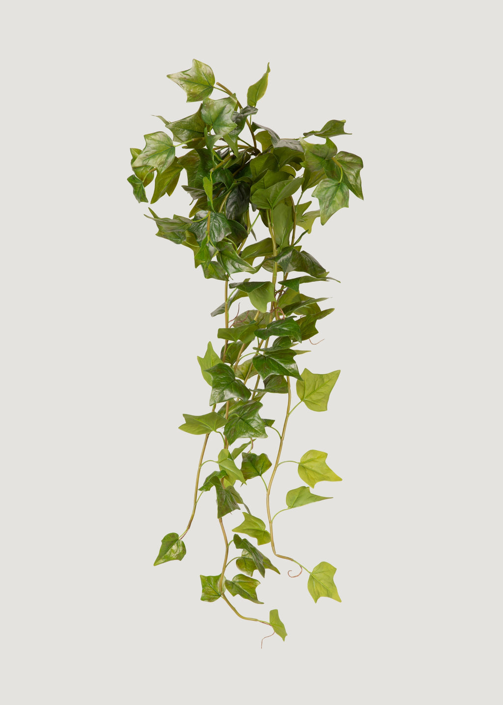 UV Treated Outdoor Plant Hanging Natural Touch Ivy