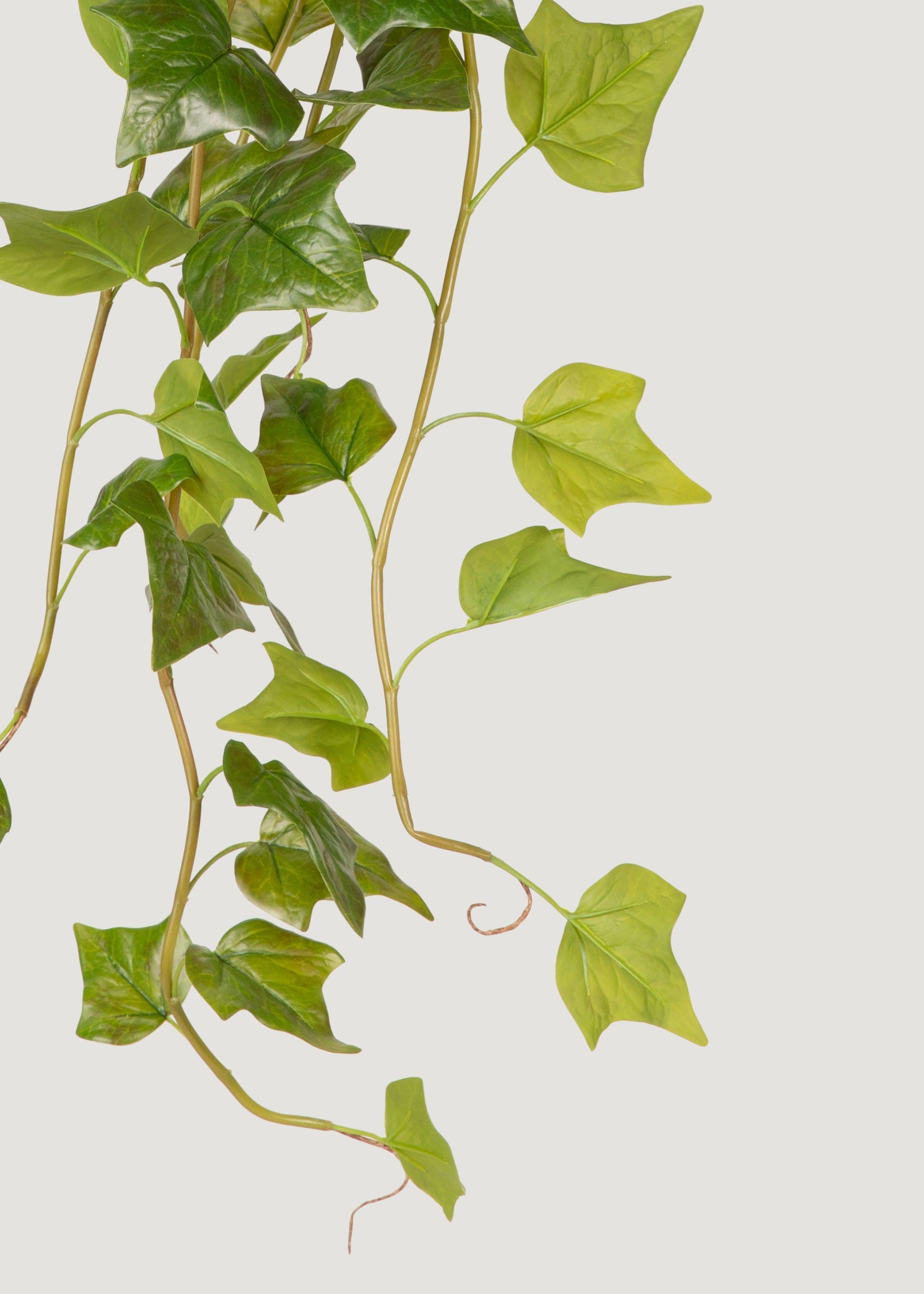 Faux Natural Touch Ivy