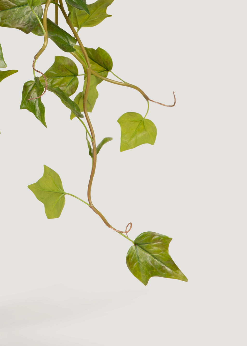 Close up of Real Touch Ivy