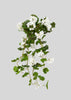 Natural Touch Geranium Hanging Bush