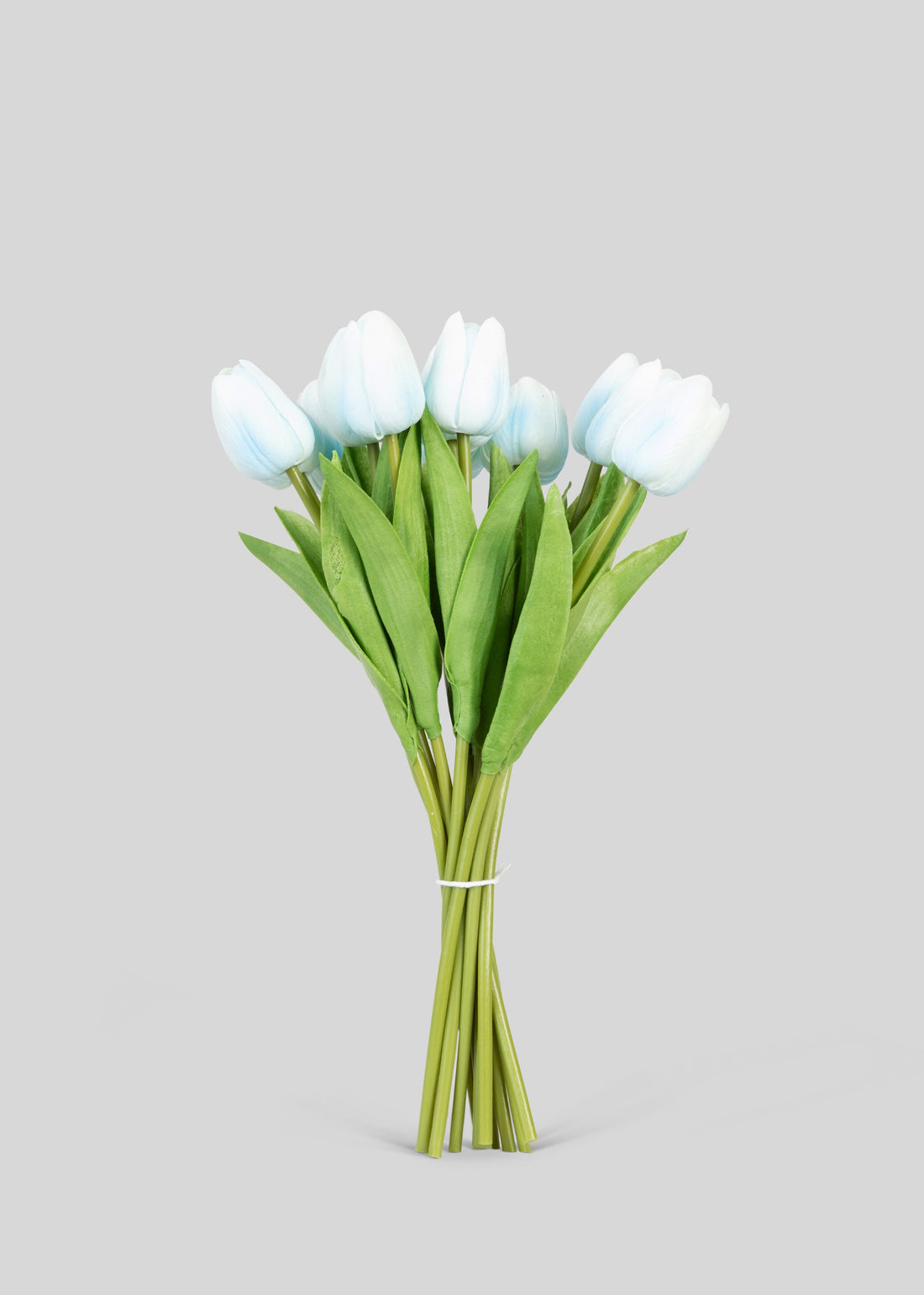 Light Blue Tulip Bundle