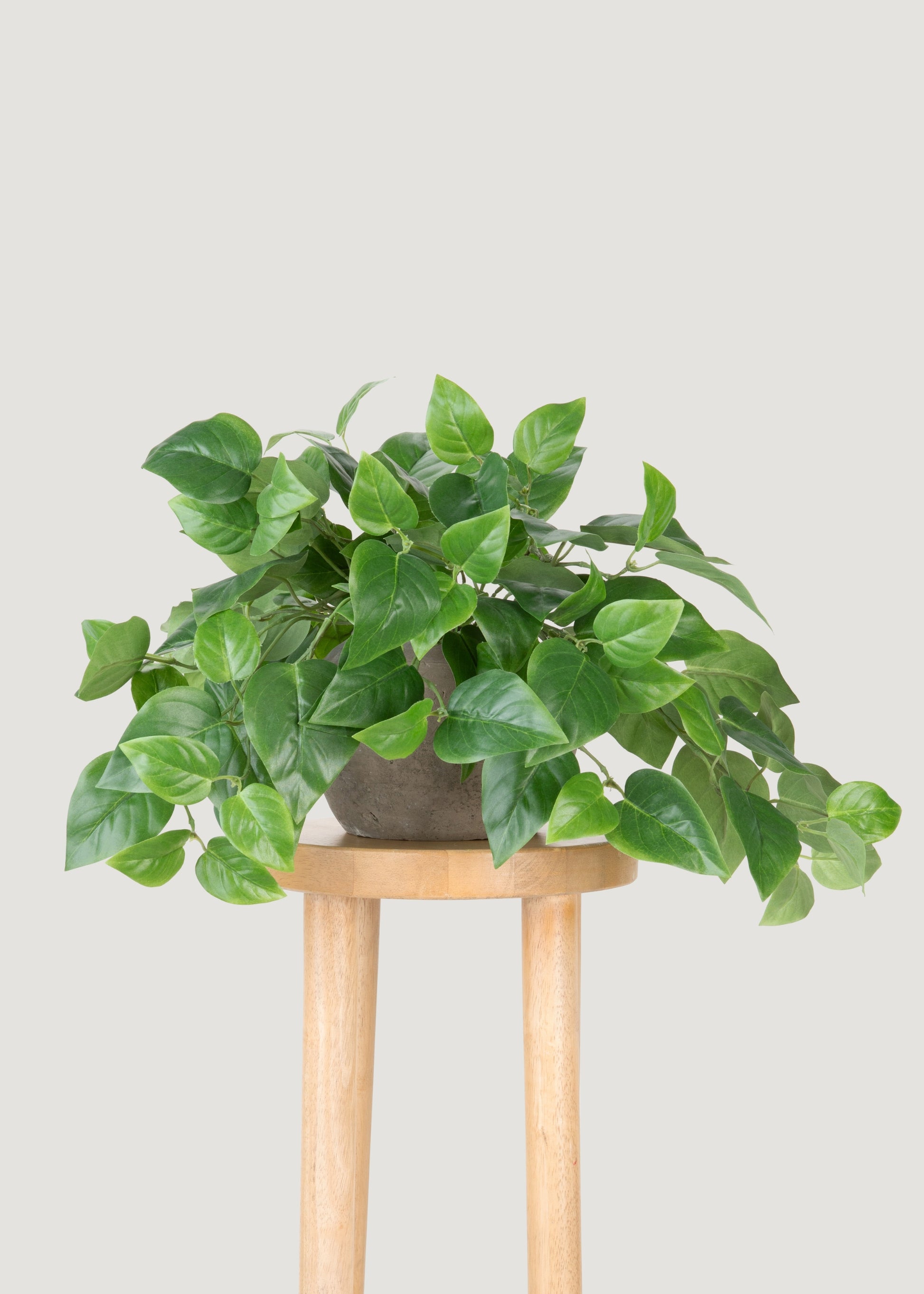 Fake  Hanging Philodendron Plant