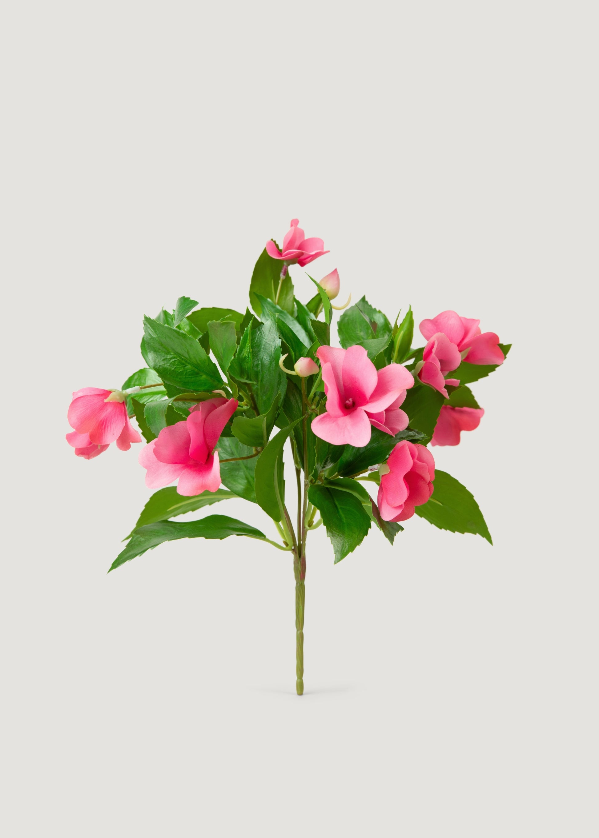 UV Treated Impatiens Bush 