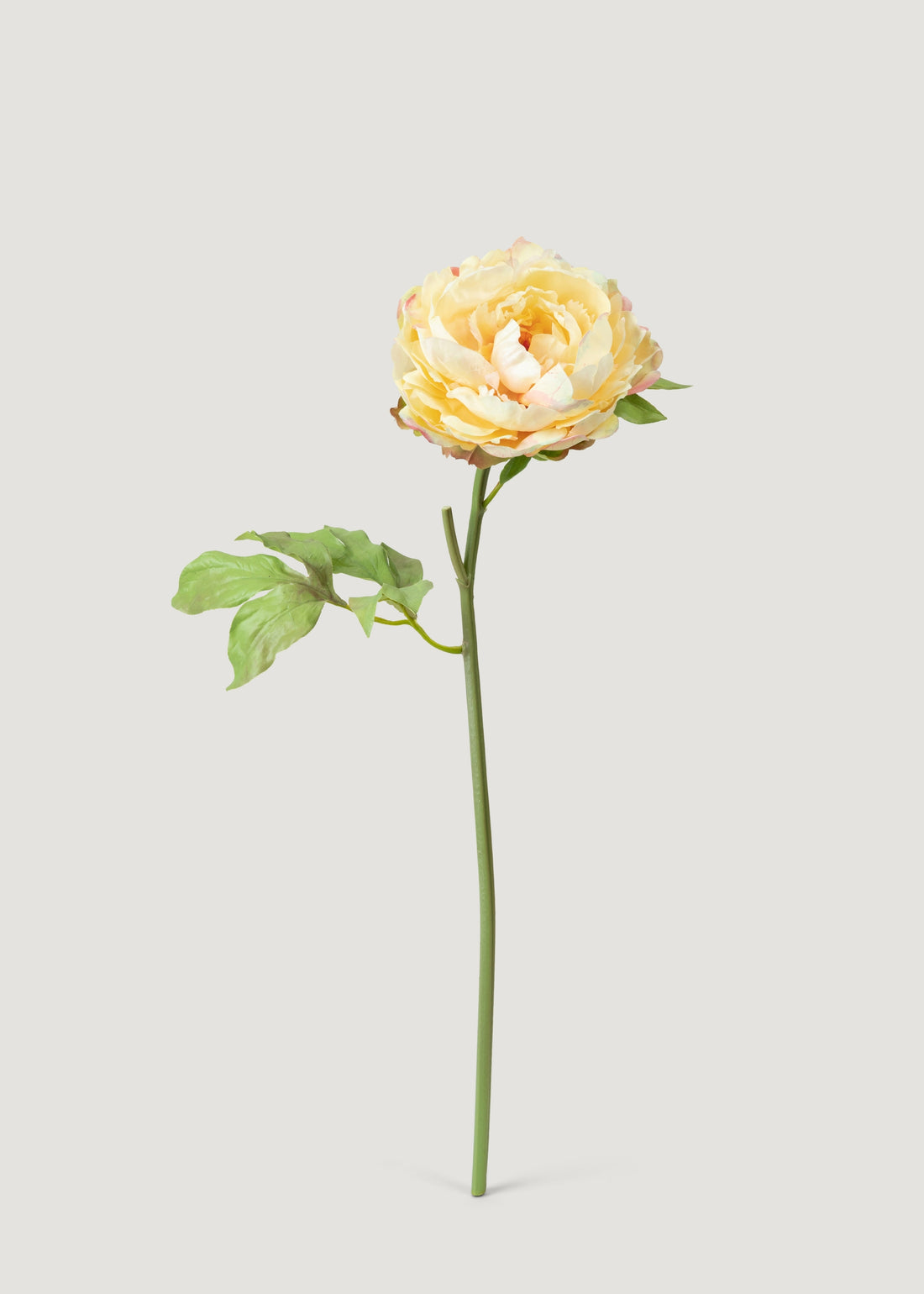 Real Touch Peony in Yellow Watercolor