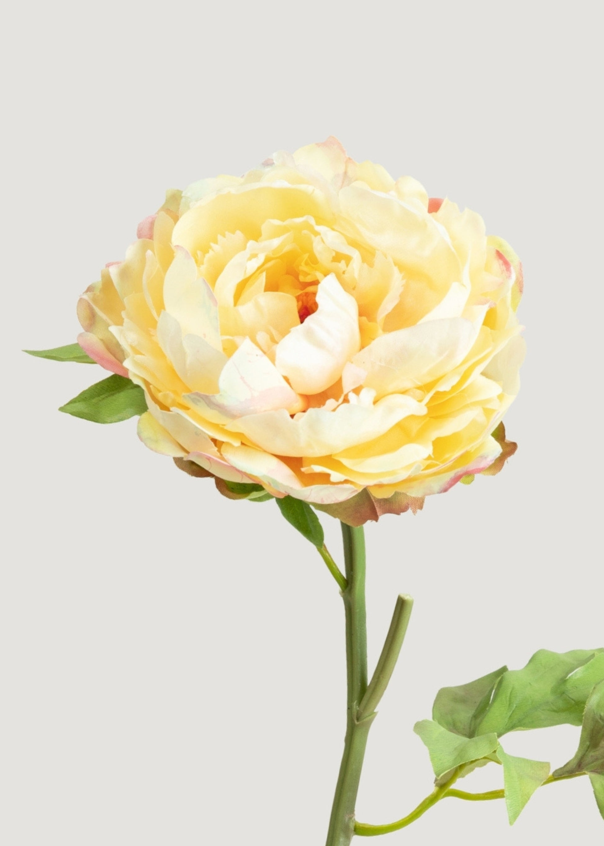 Yellow Real Touch Peony