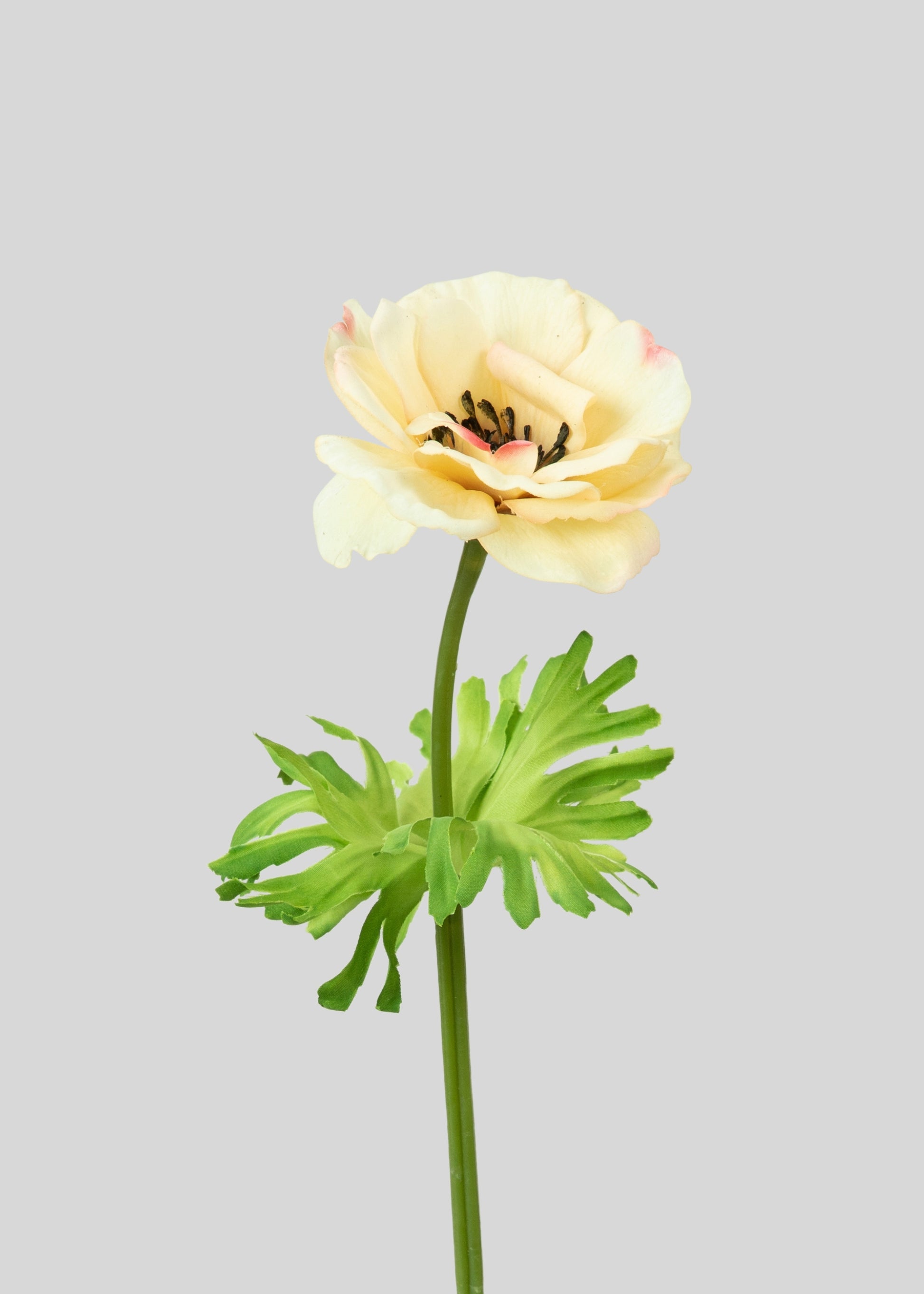 Yellow Real Touch Buttercup 