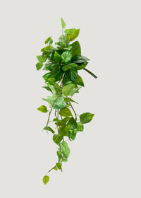 UV Treated Pothos Indoor/Outdoor Natural Touch Hanging Plant - 42"