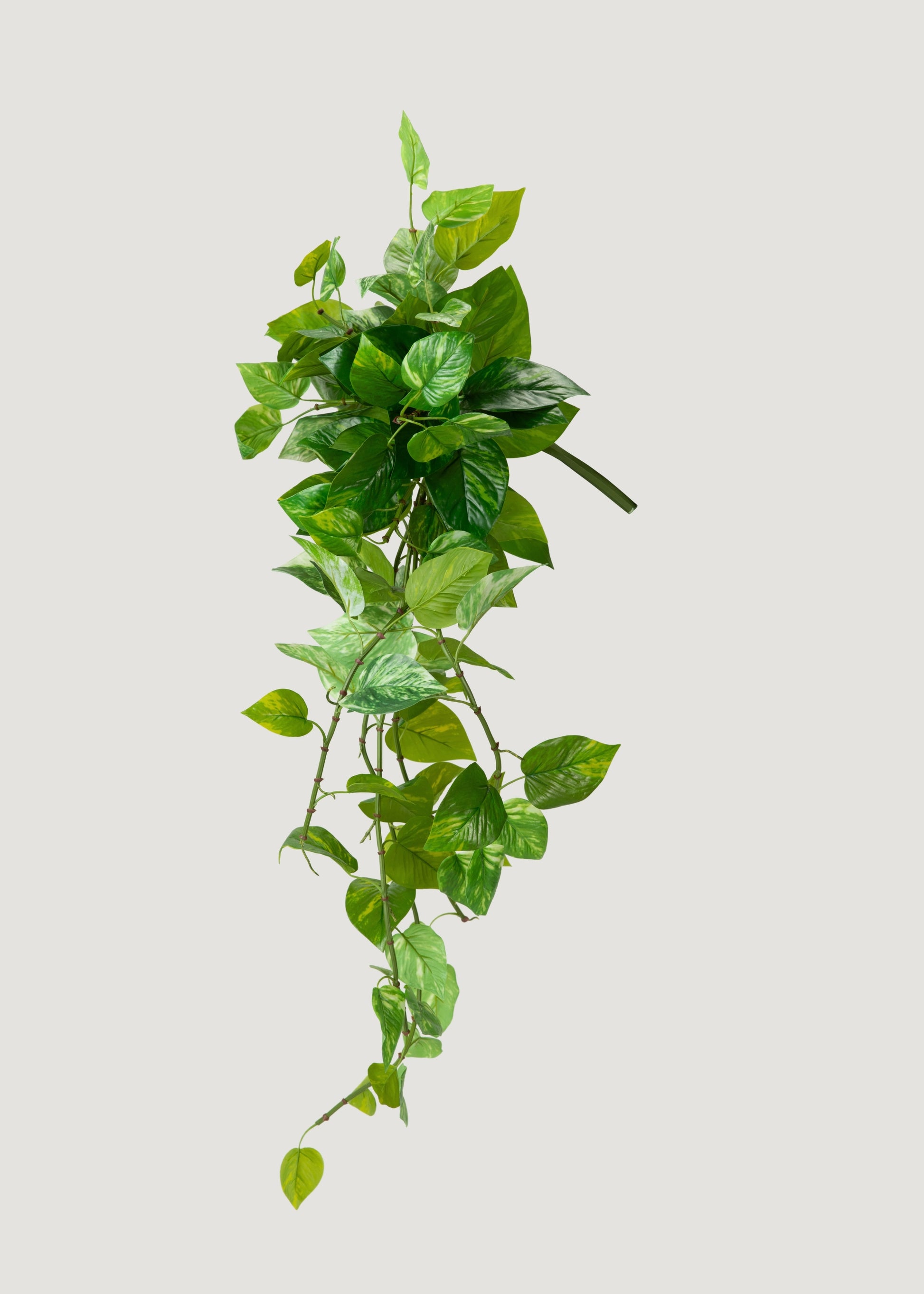 lowes pothos hanging UV Treated Hanging Pothos Plant | Outdoor Fake Plants