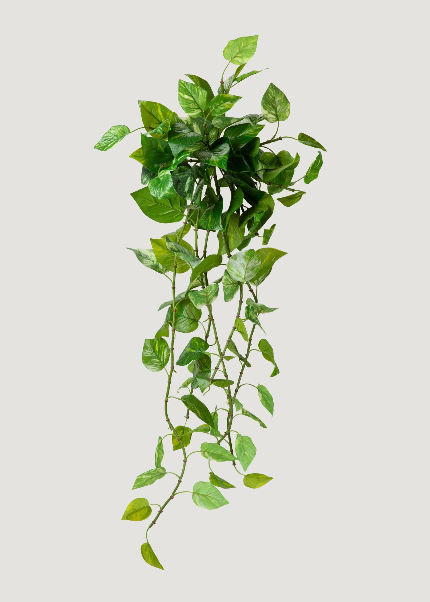 UV Treated Pothos Indoor/Outdoor Natural Touch Hanging Plant 