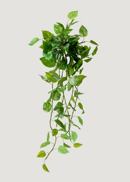 UV Treated Pothos Indoor/Outdoor Natural Touch Hanging Plant 