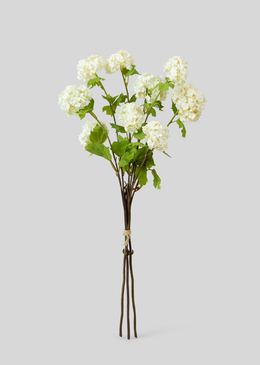 Snowball Flower Bundle