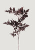 Afloral Cimicifuga Branch