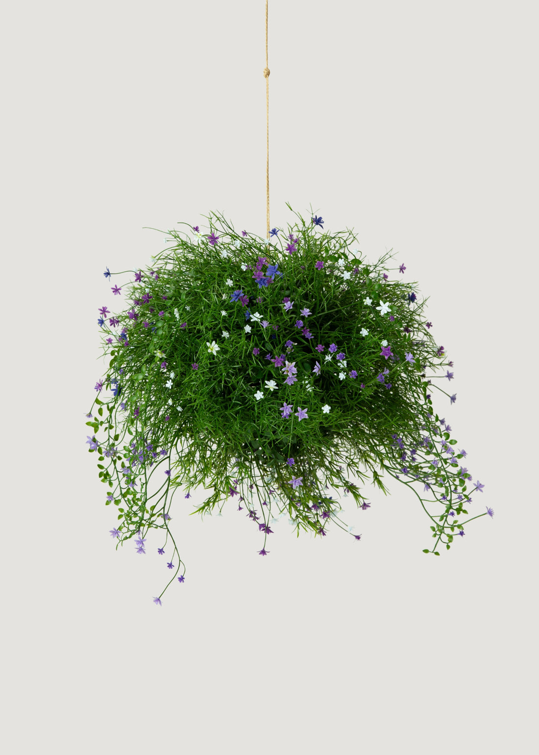 Flower and Fern Hanging Basket