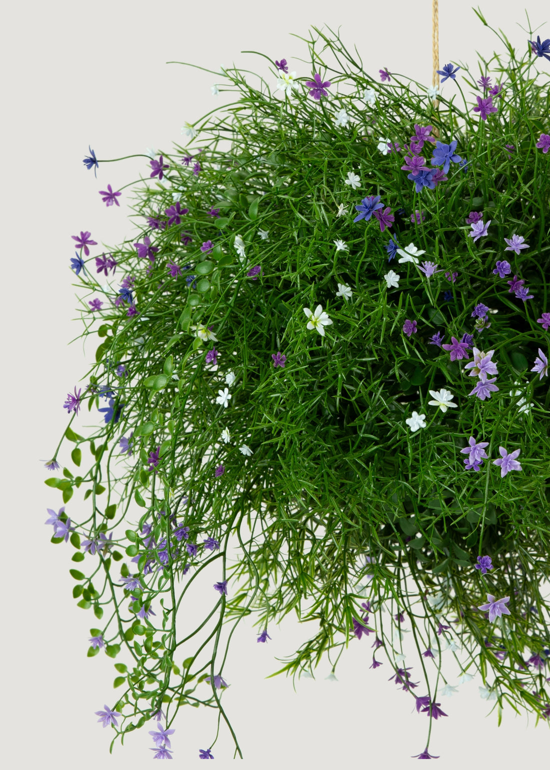 Hanging Outdoor Basket with Ferns and Flowers