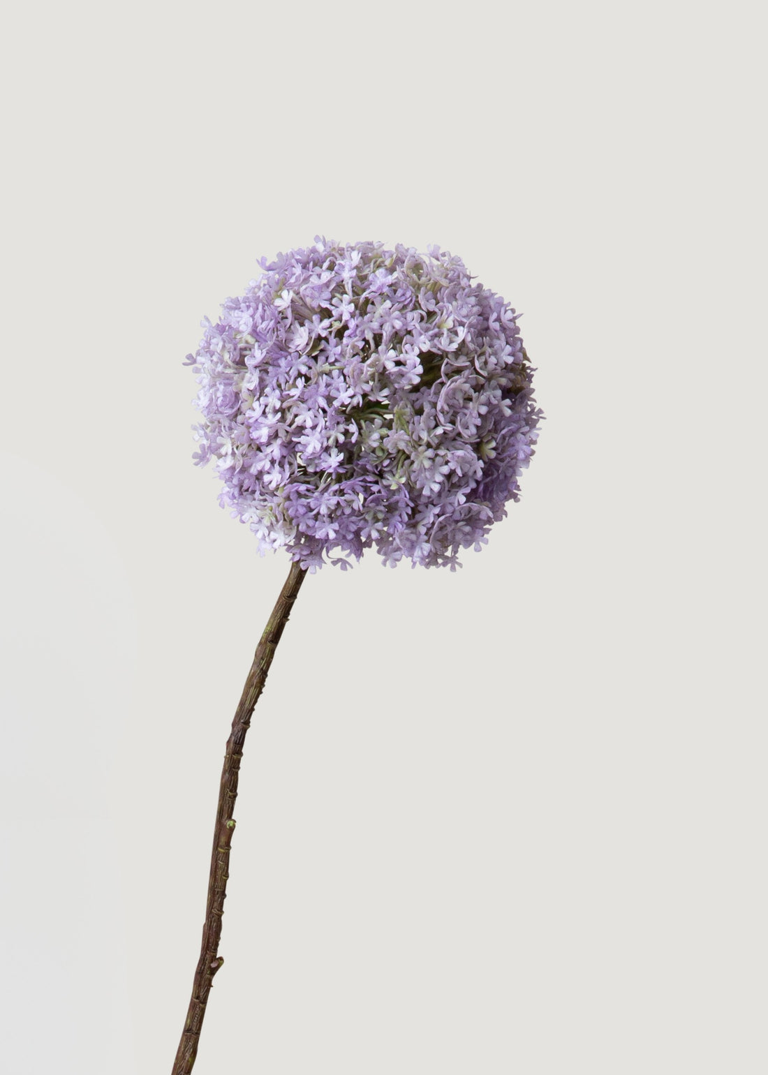 Fake Purple Snowball

