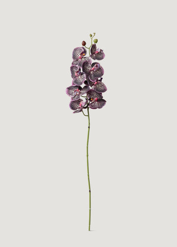 Real Touch Phalaenopsis Orchid in Plum - 35"