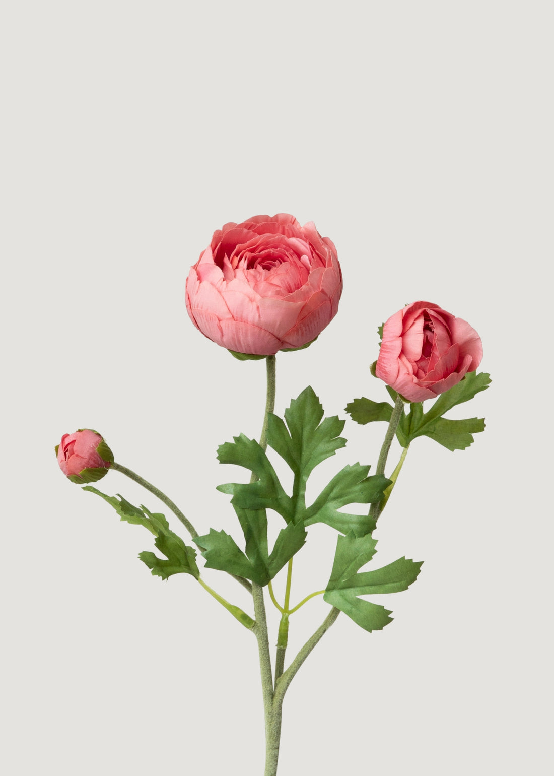 Faux Coral Pink Ranunculus