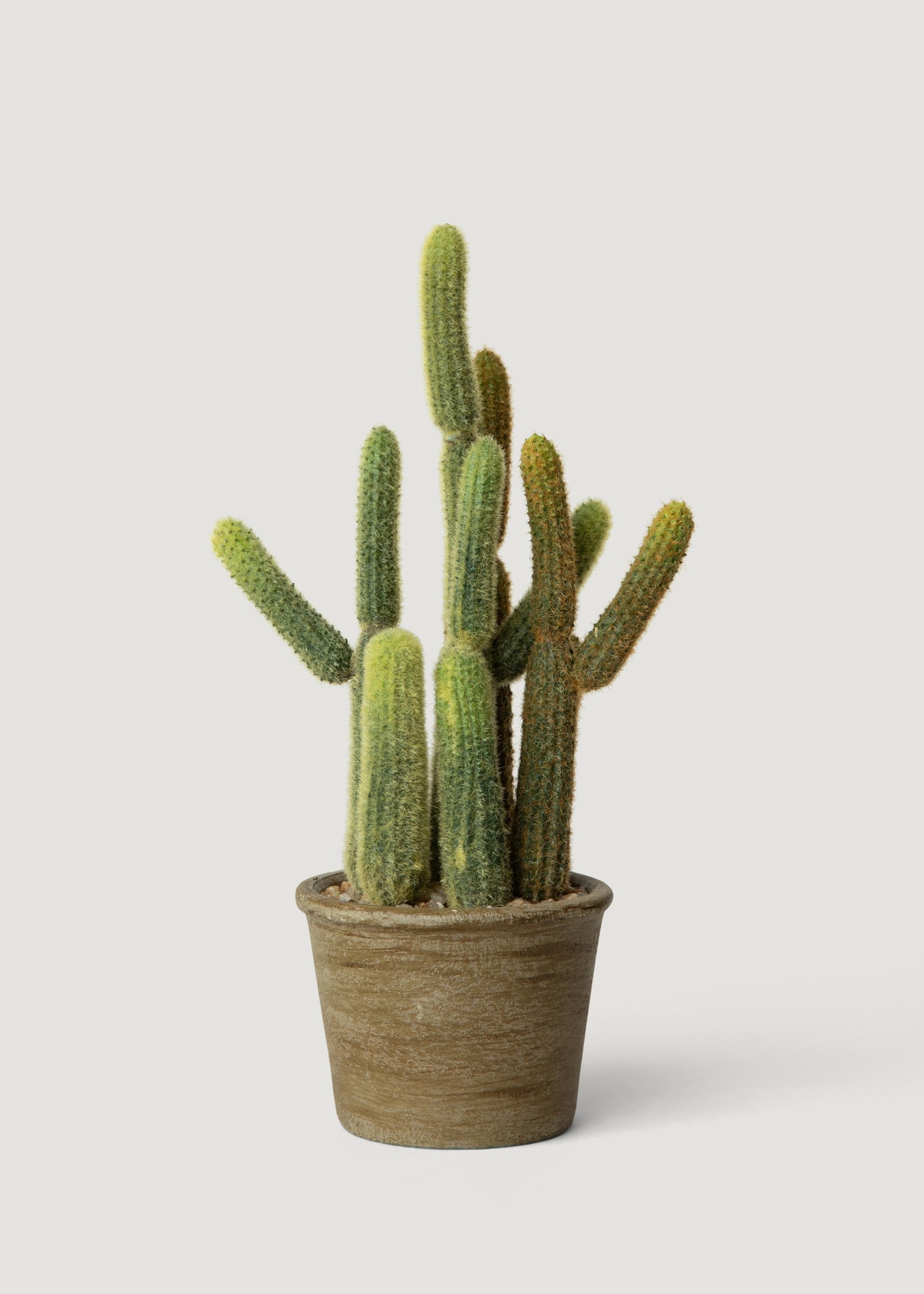 Small Faux Cactus Potted Plant 