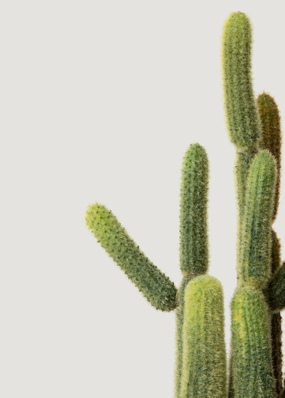 Small Faux Cactus