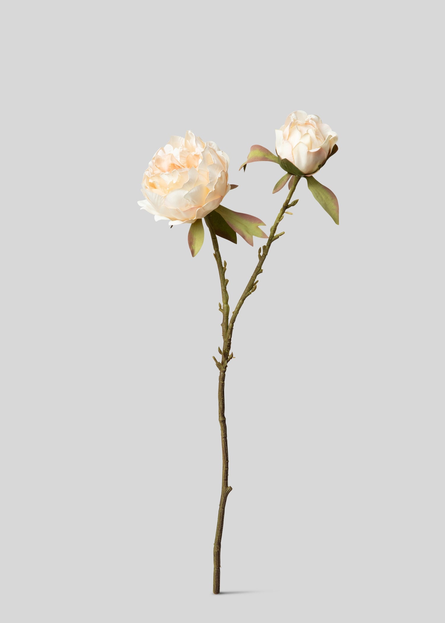 Artificial Peonies