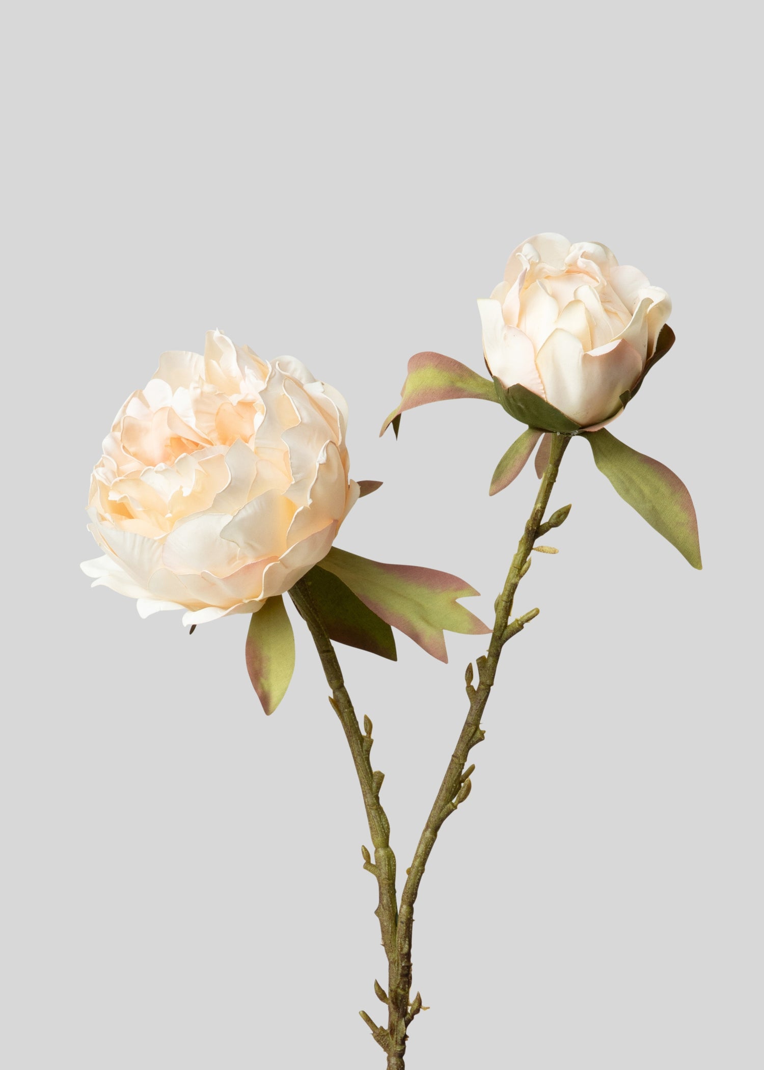 Faux Peony Branch