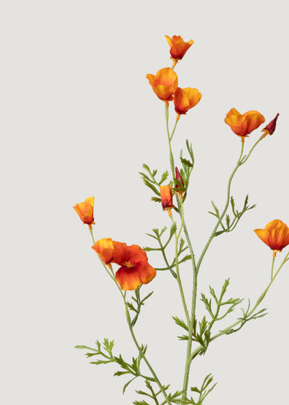 Mini Poppies