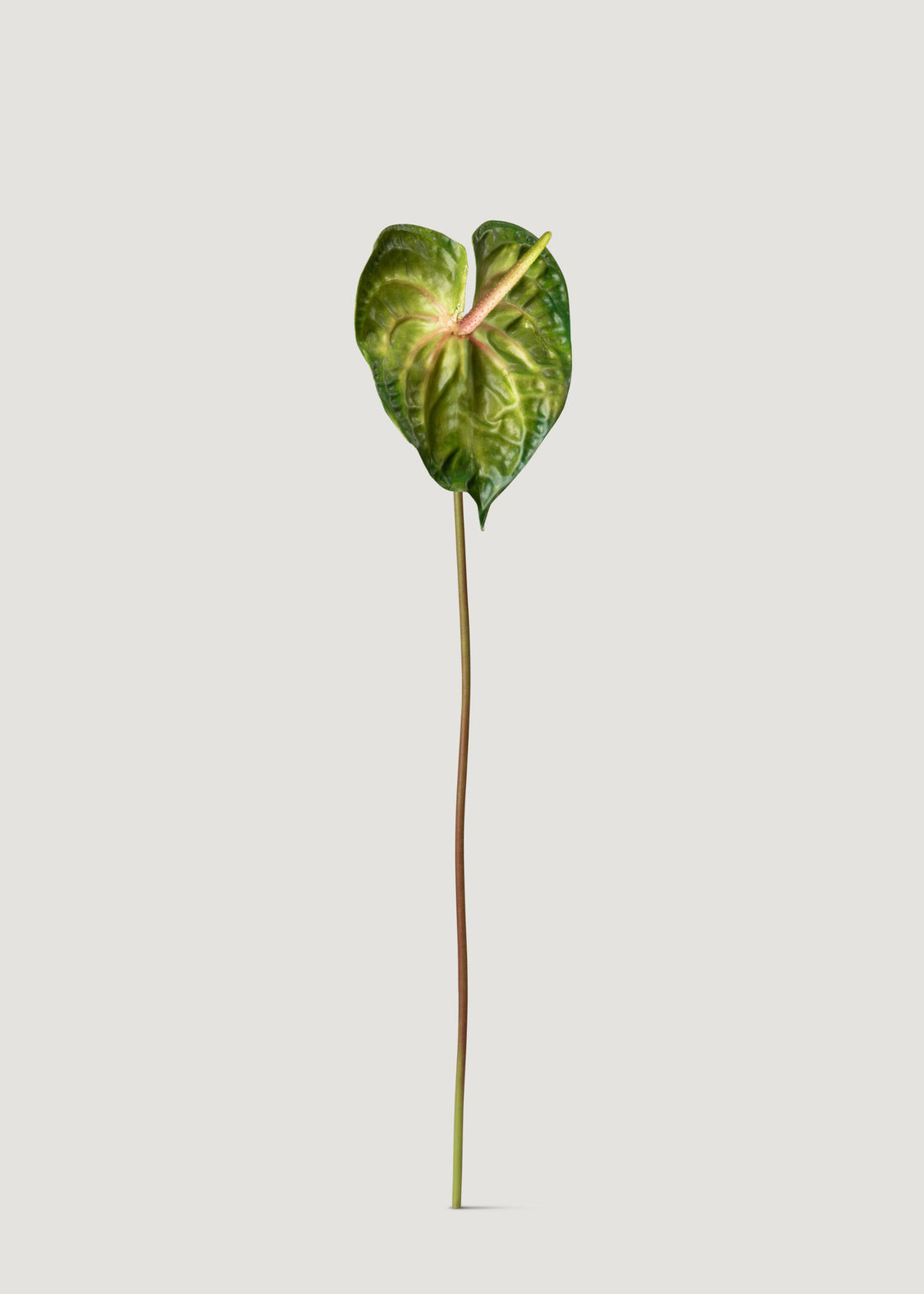 Artificial Anthurium Stem