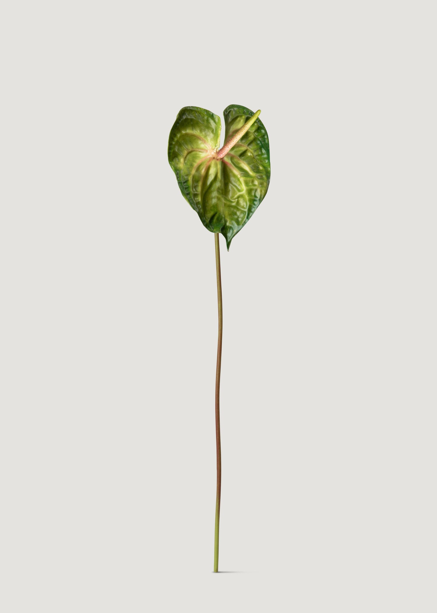 Artificial Anthurium Stem