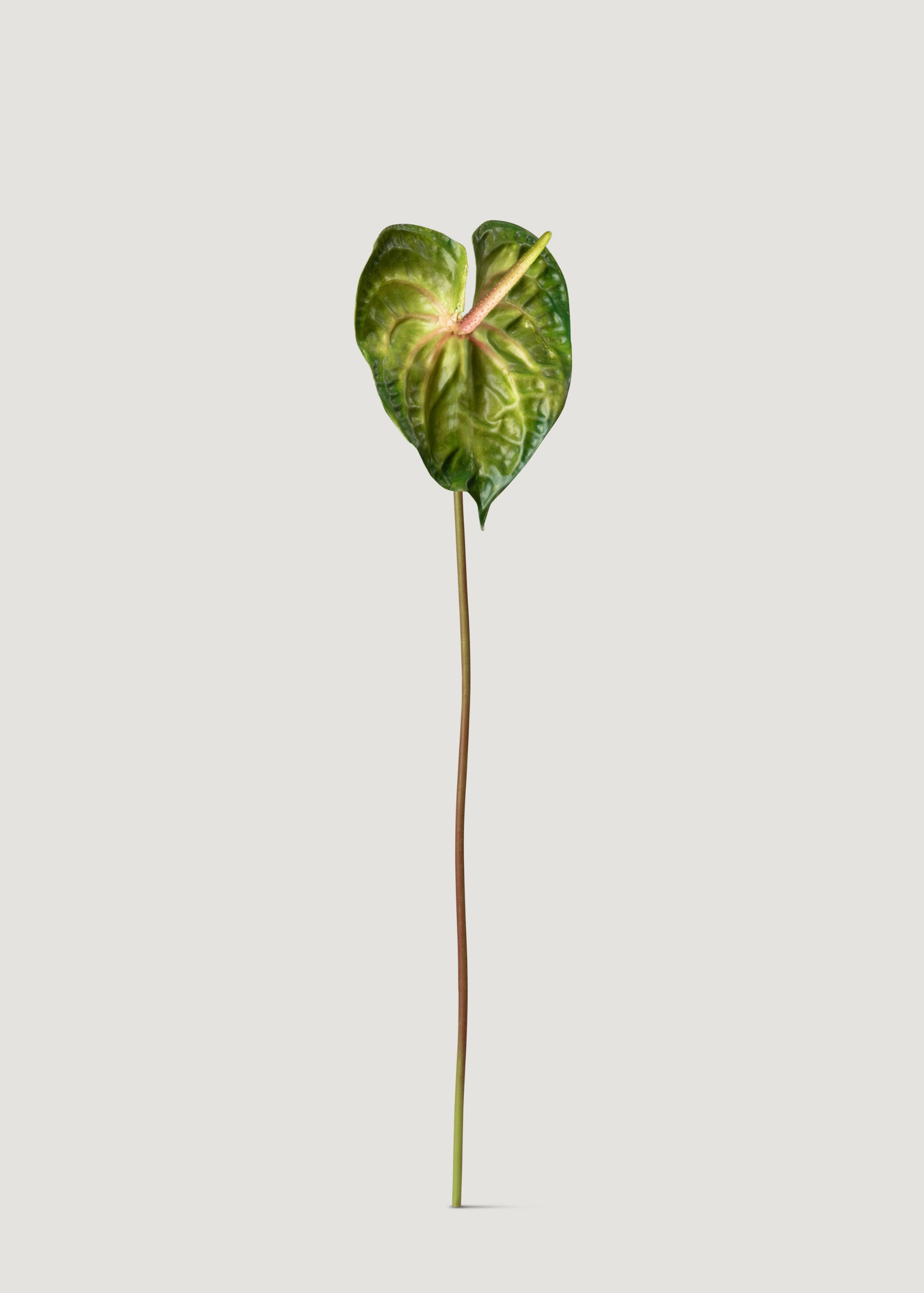 Artificial Anthurium Stem