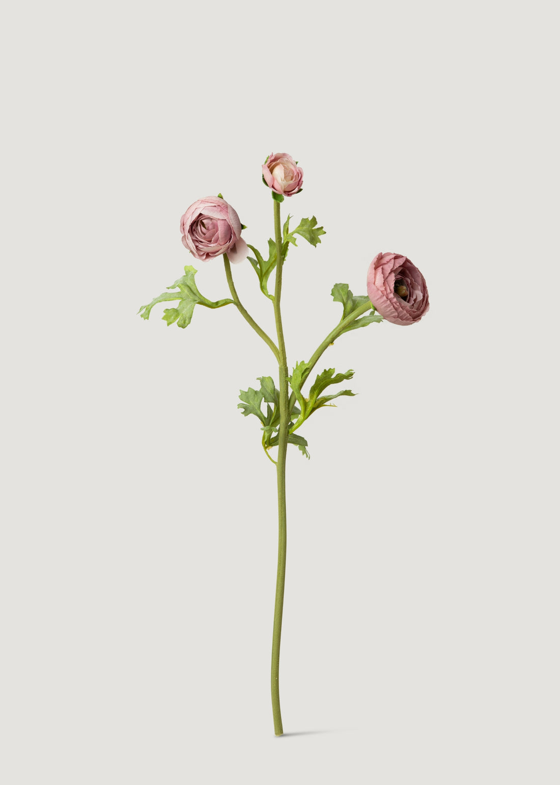 Mauve Real Touch Ranunculus