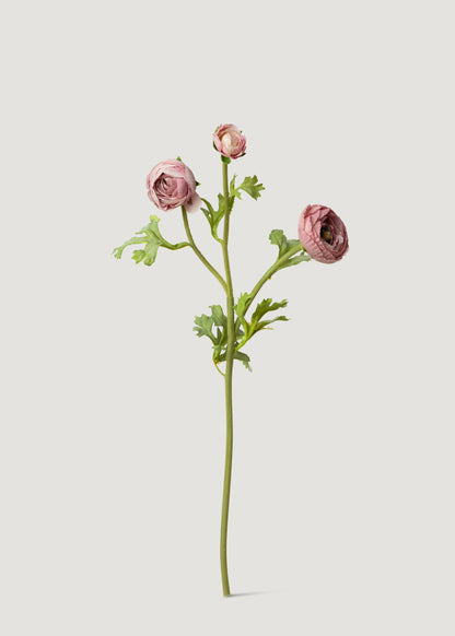 Mauve Real Touch Ranunculus
