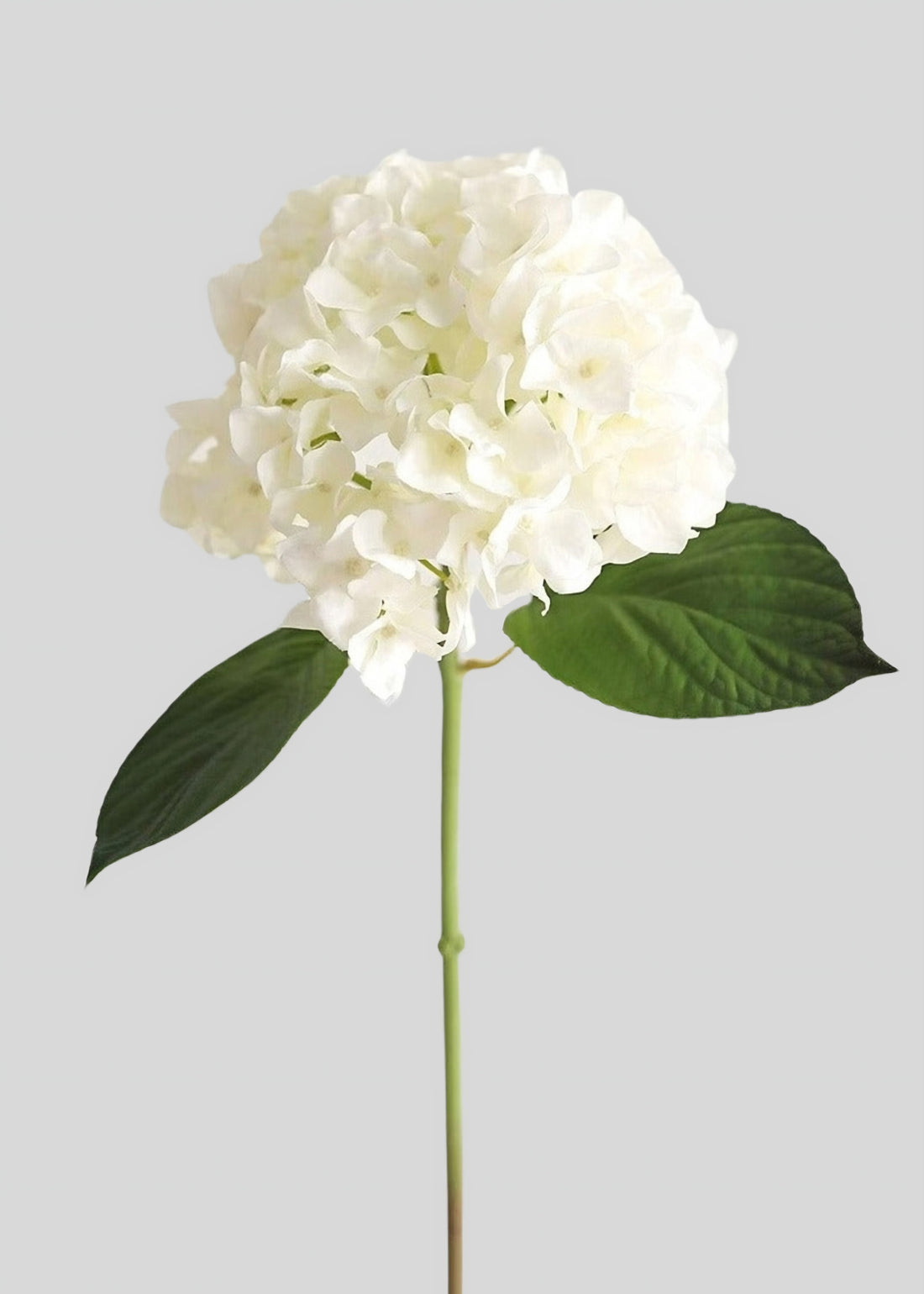 Fake White Hydrangea Real Touch Flower at Afloral