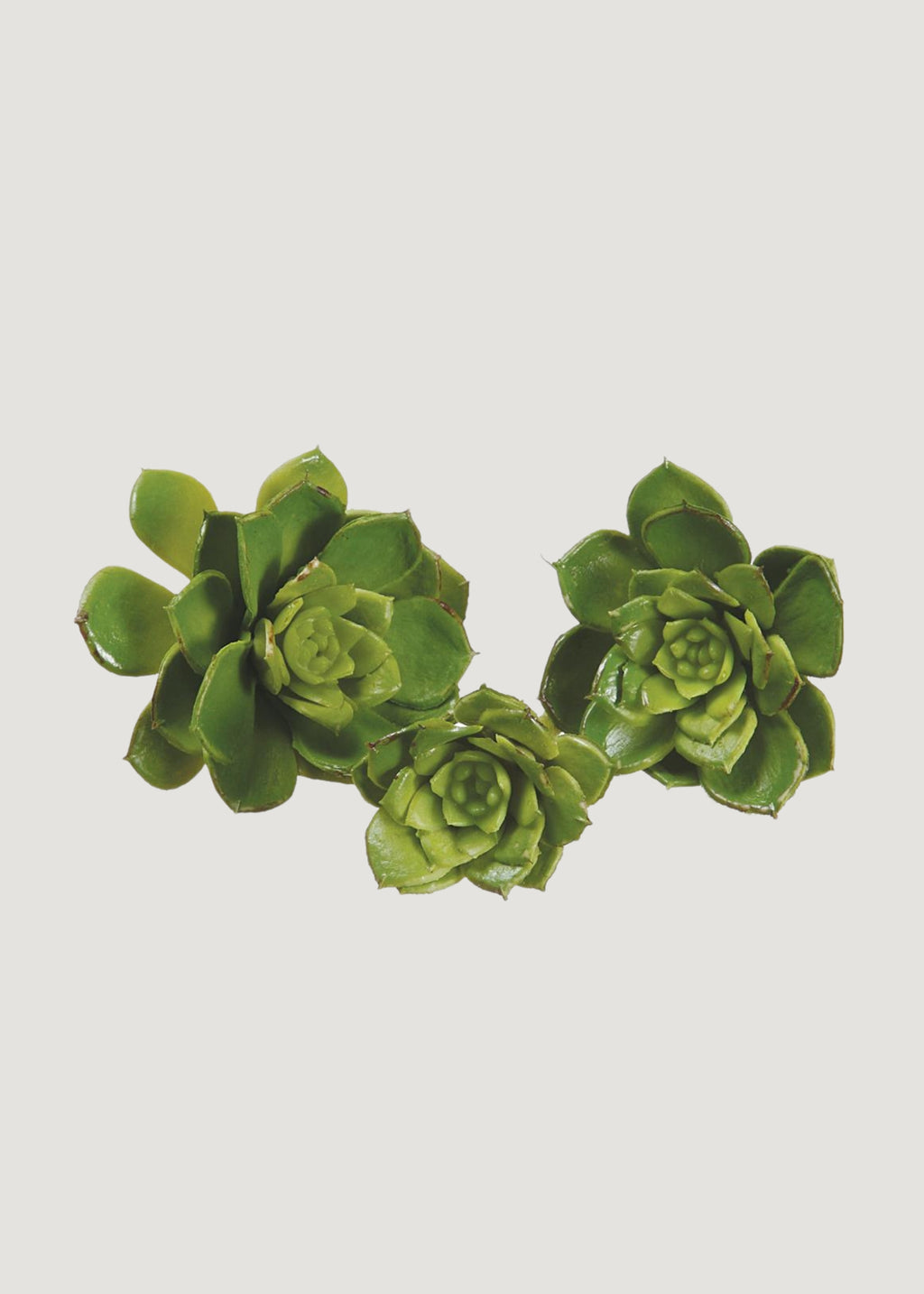 Artificial Mini Succulents