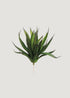 Fake Agave Succulent Plant