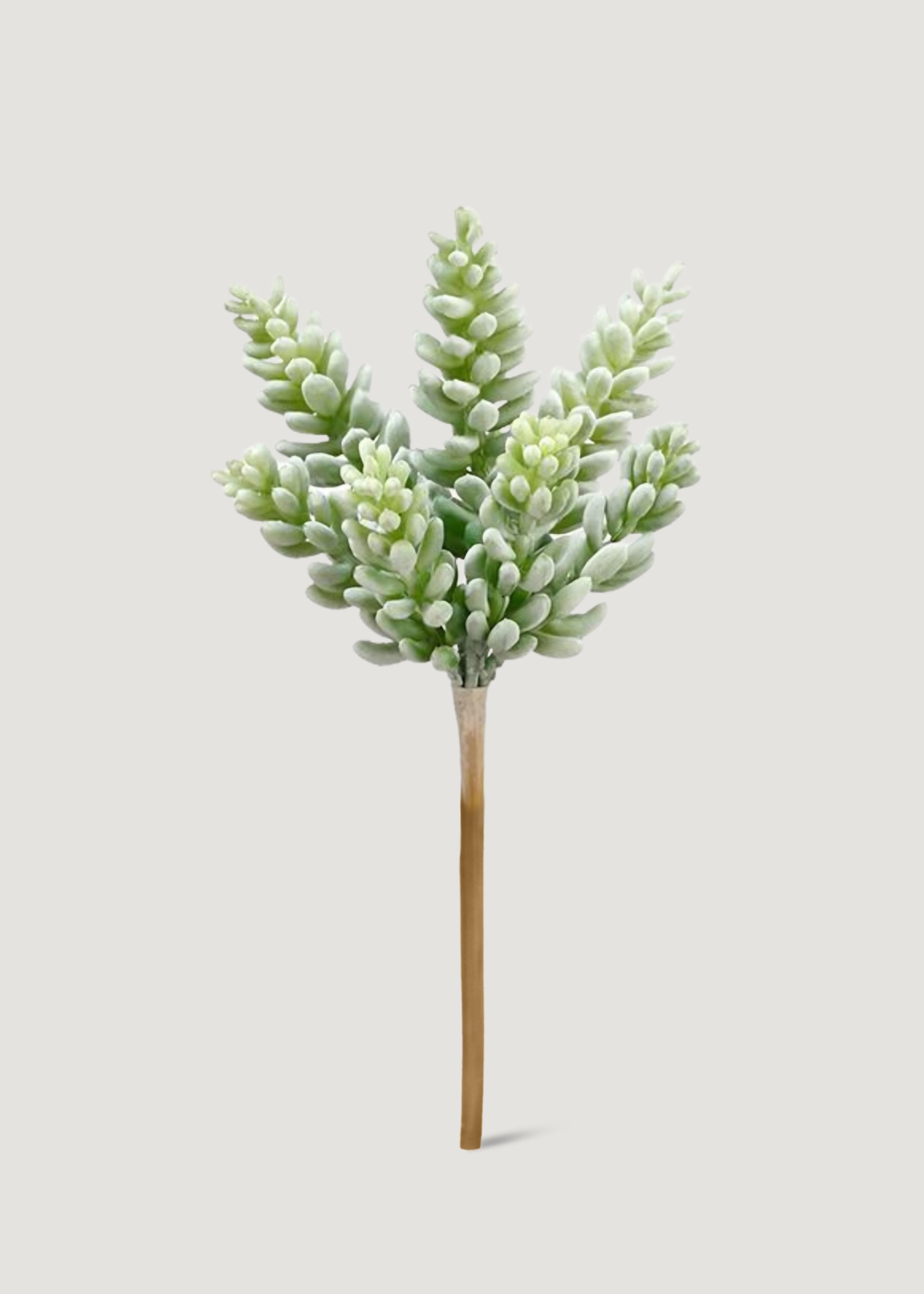 real touch succulents Allstate Floral Soft Green Gray Sedum Pick, 7.5 in