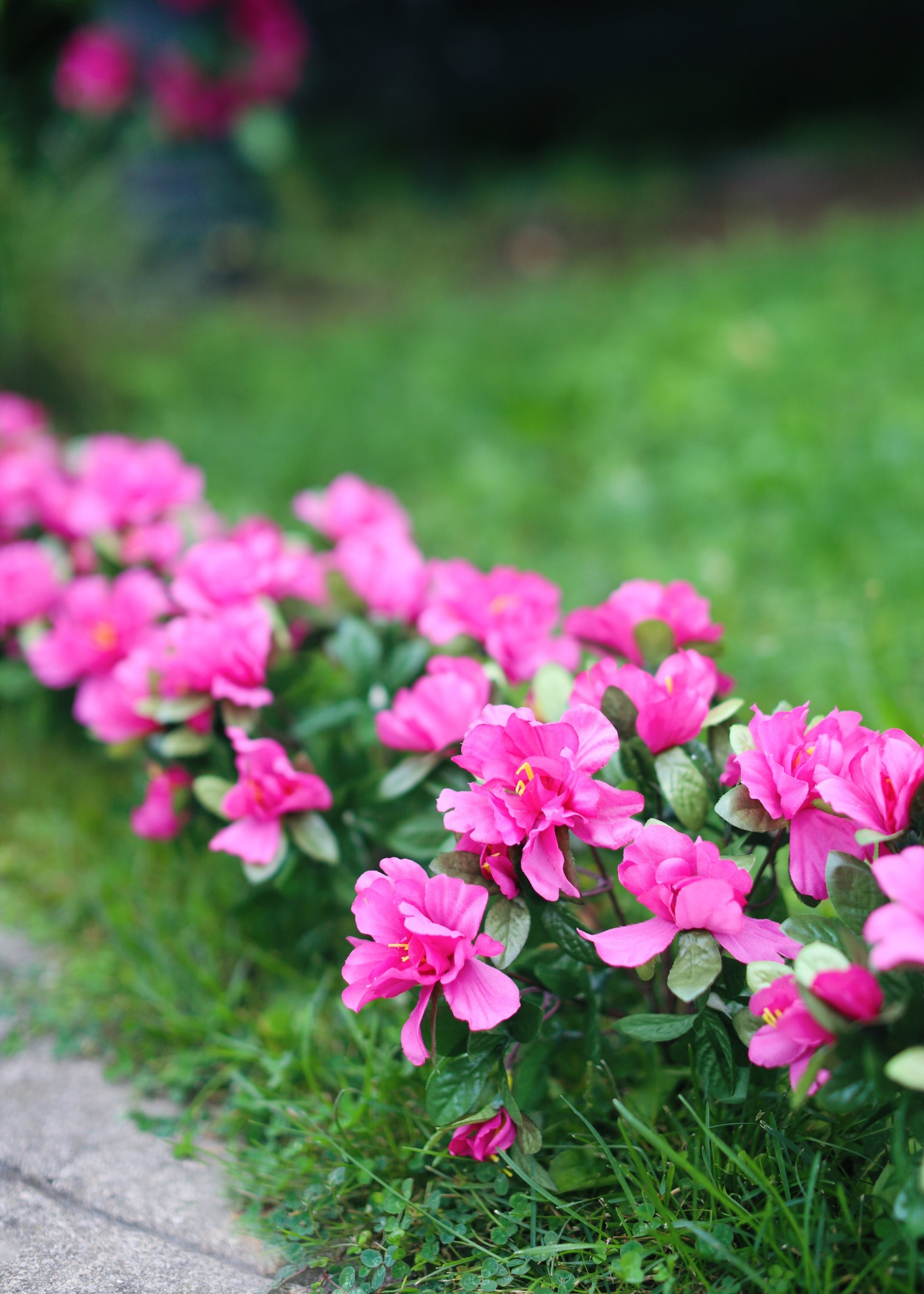 Artificial Azalea Outdoors