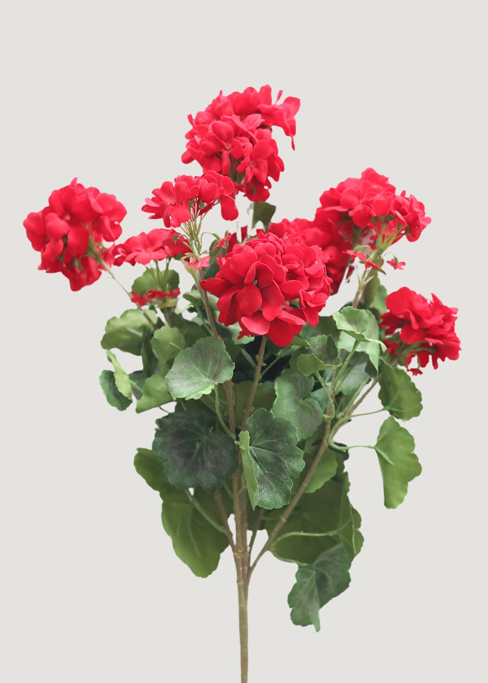 Faux Red Geranium