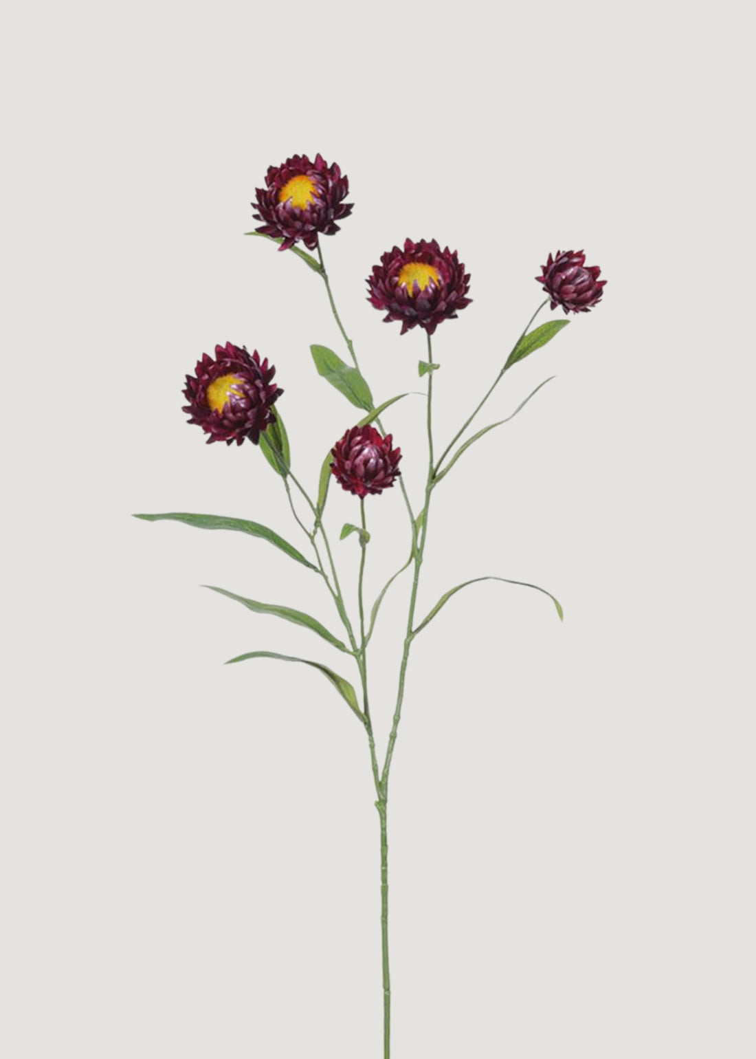 Purple Wine Fake Wildflowers Strawflower Spray