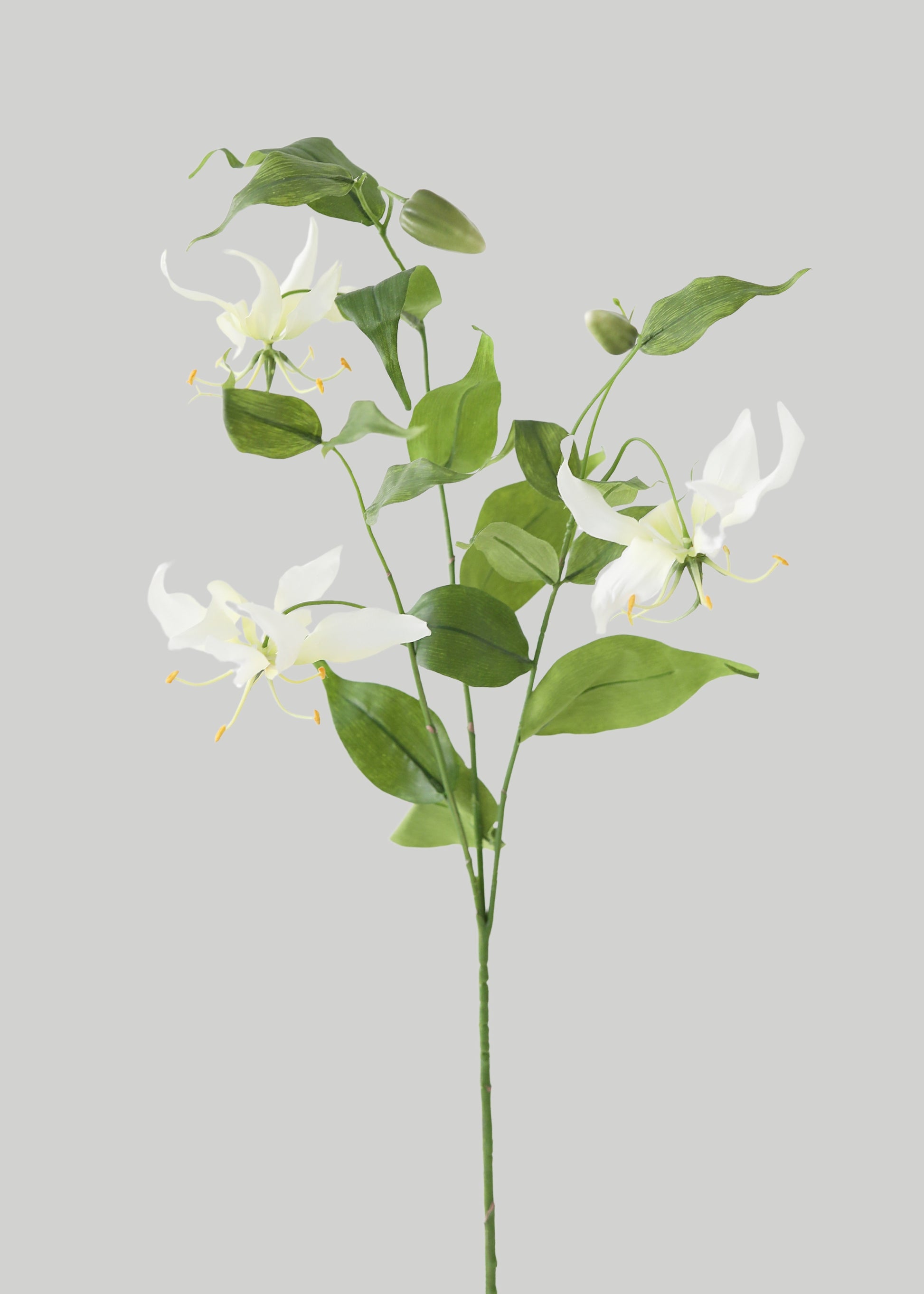 Tropical Fake Gloriosa Lily 