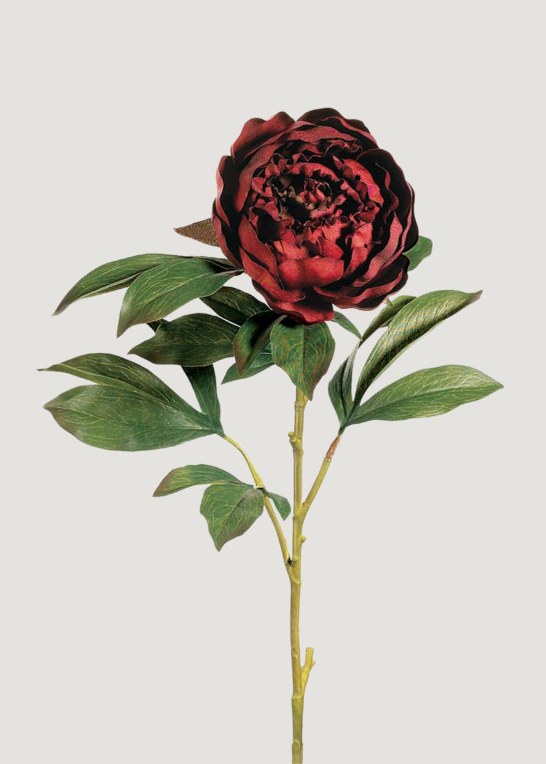 Fake Peony Flower in Burgundy 
