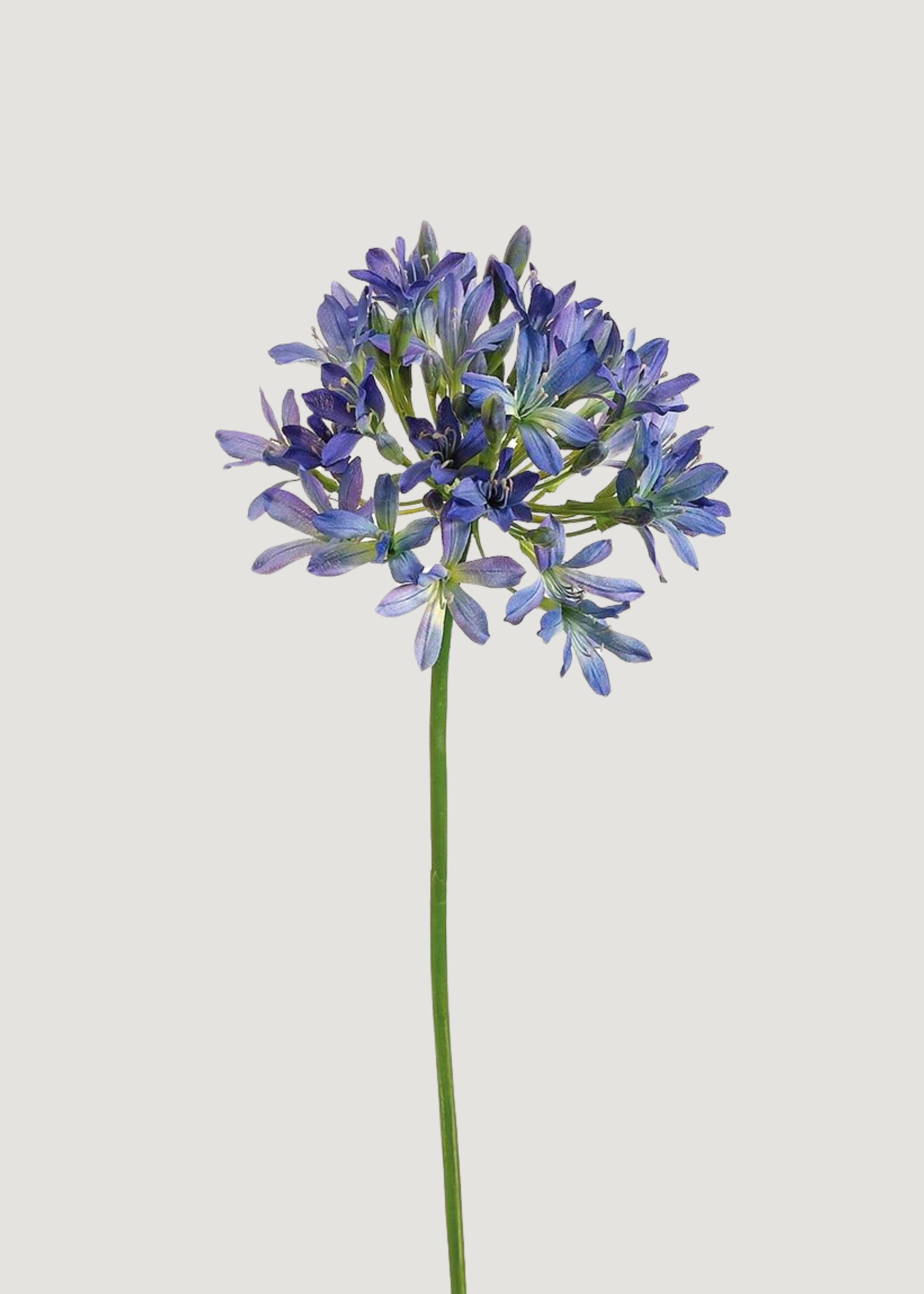Blue Purple Faux Agapanthus Stem