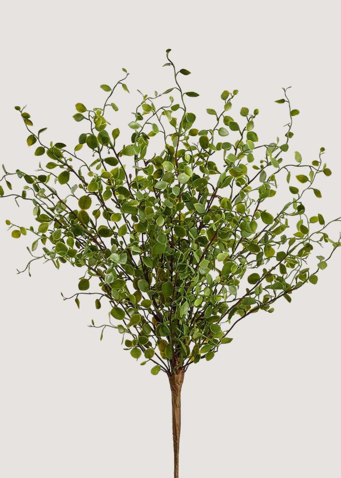 Artificial Maidenhair Creeping Vine
